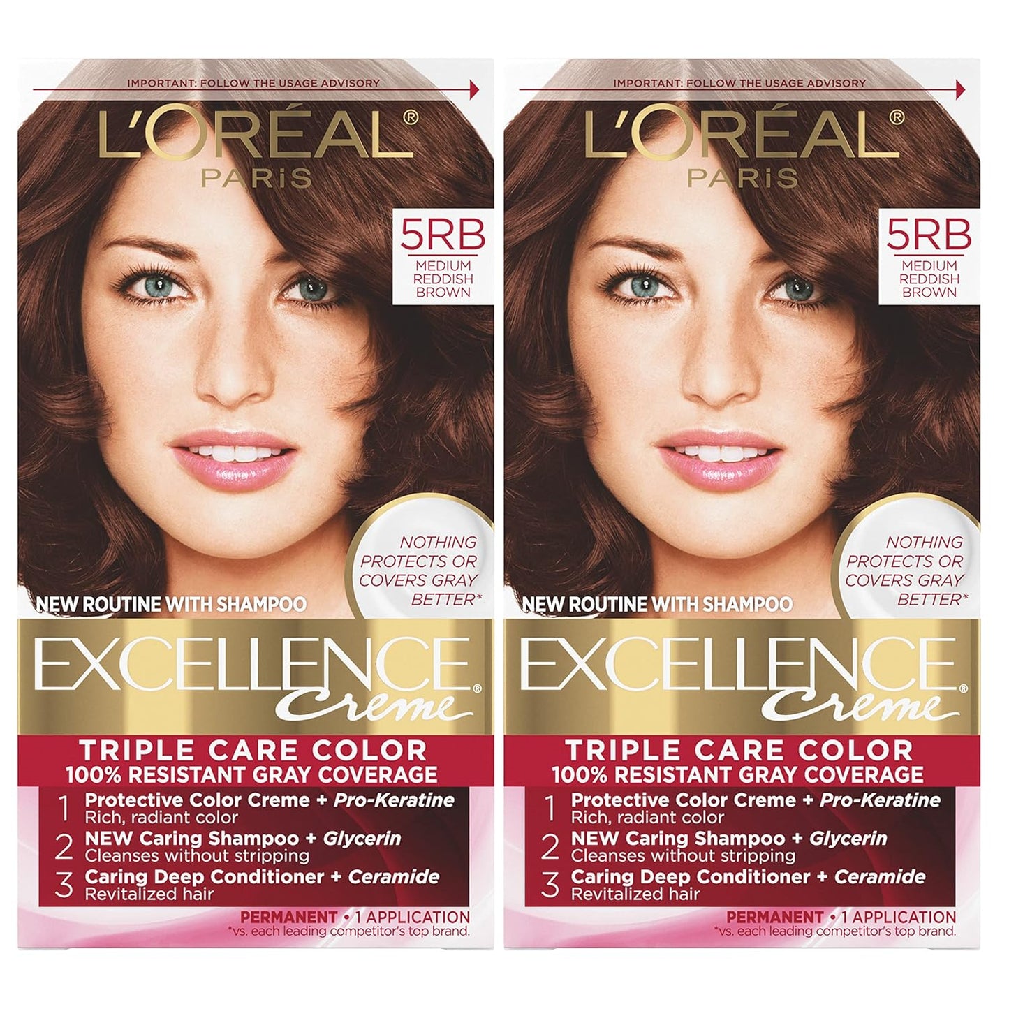 L'Oreal Paris Excellence 6G Light Golden Brown Hair Color | Gray Coverage, 8 Weeks