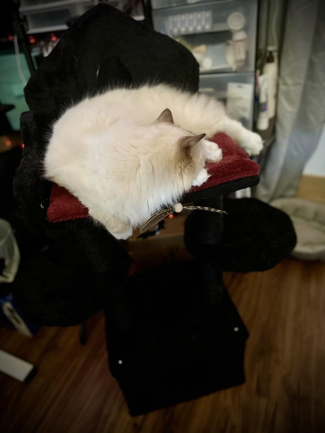PawNest   black gothic cat tree, Black