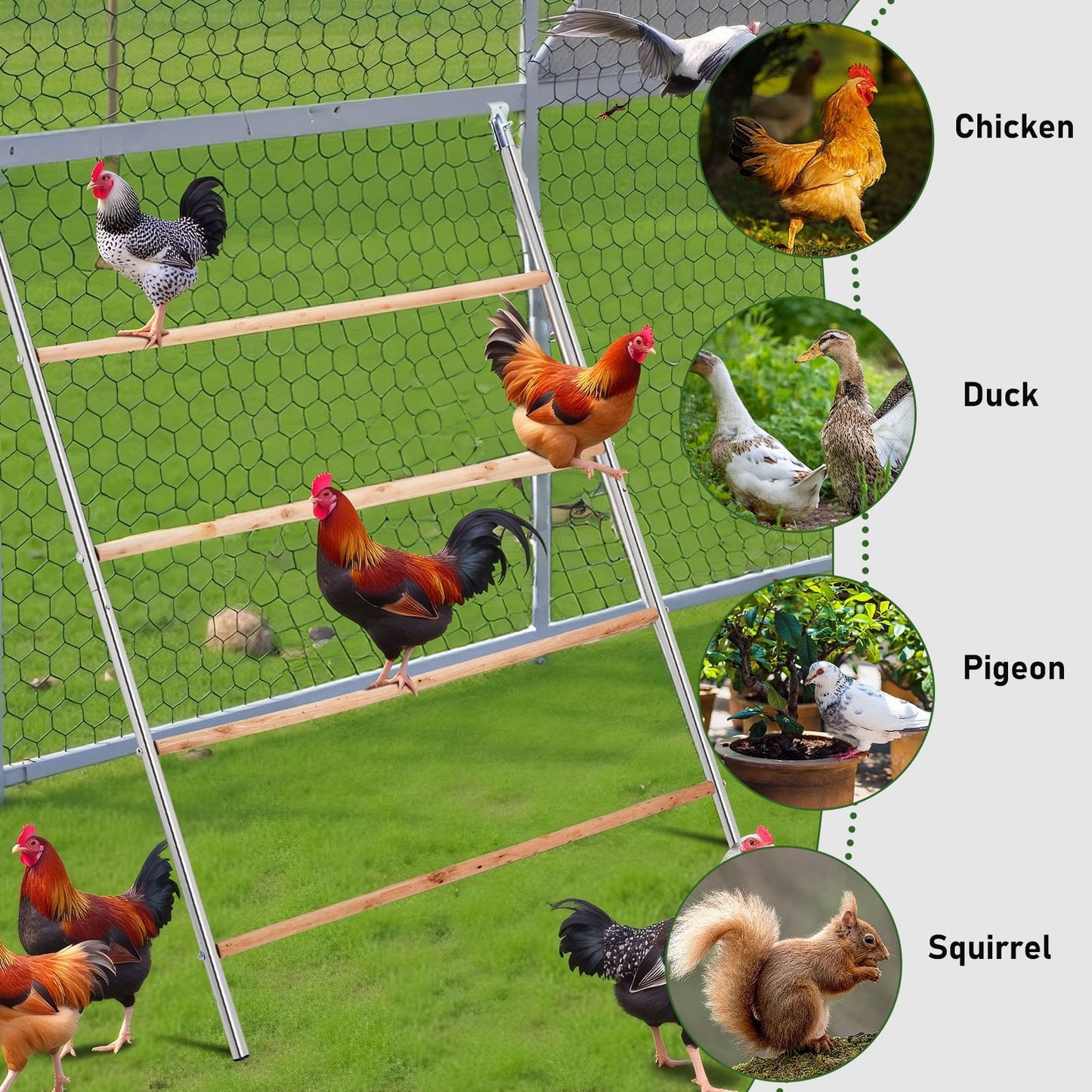 ZephyPaws Chicken Coop Roosting Perch, Farm Roost Toys for Chicks, Chicken Toys for Coop Accessories for Backyard Poultry, Easy to Assemble & Clean