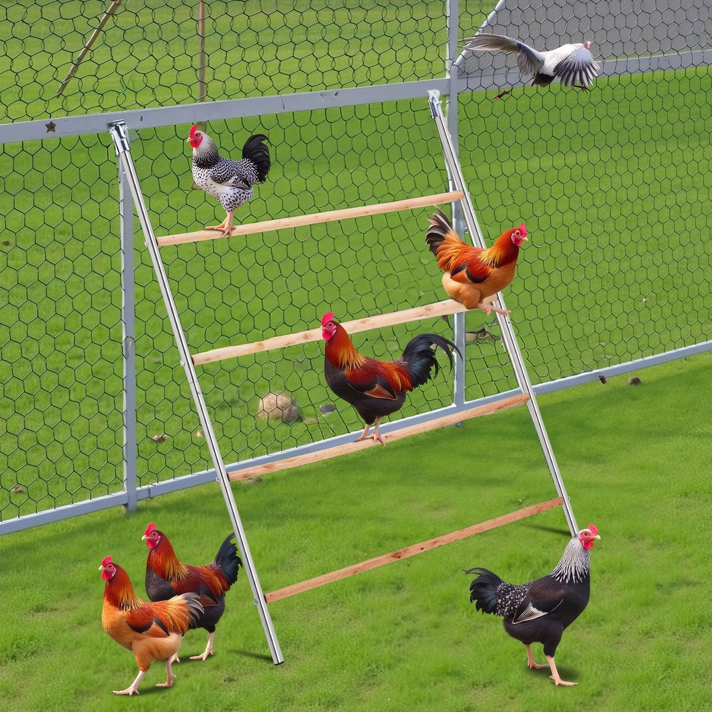 ZephyPaws Chicken Coop Roosting Perch, Farm Roost Toys for Chicks, Chicken Toys for Coop Accessories for Backyard Poultry, Easy to Assemble & Clean