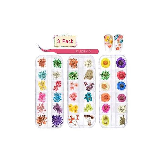 KISSBUTY 36 Colors Dried Flowers & Leaves Nail Art Set, 3D Applique Decoration Sticker, Daisy, White, Pink, White with Yellow, Green